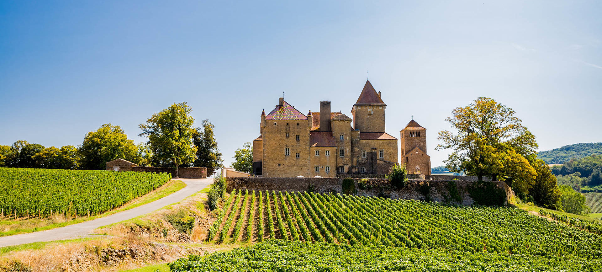 Acheter un bien de prestige en Bourgogne