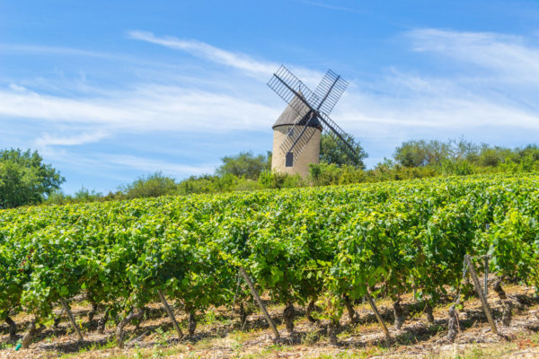 Moulin