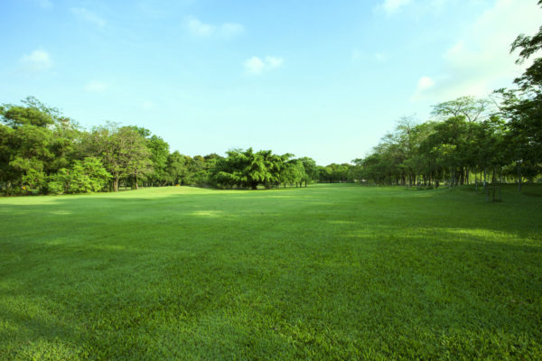 Terrain à bâtir