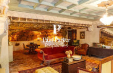 Prestigious residence Rent 9 room(s) 420 m2 - 3903863PLGI