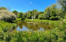 Propriété de Campagne de 290m2 parc de 7550 m2 Proche du MANS - 4094793PDOK