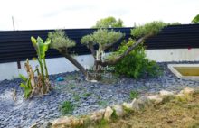 ENTRE-DEUX-MERS CHARMING FAMILY STONE HOUSE WITH POOL AND CARPORT - 4046533PPBD