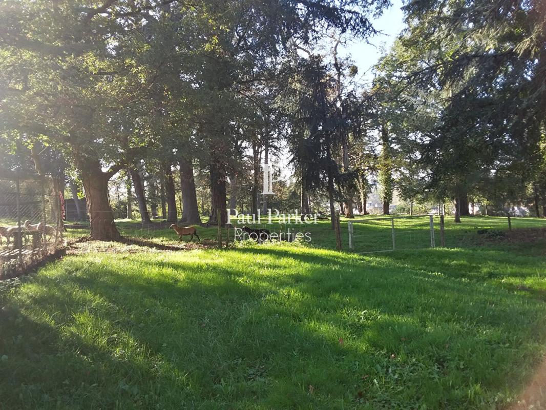 Manoir  de 1850, maison de gardien et tennis sur un parc de 5 ha - 420450-3PADR