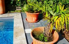 Bordeaux -Bastide  Belle  Maison familiale de caractère avec jardin et piscine - 4277623PPBD