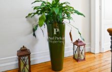 Bordeaux -Bastide  Belle  Maison familiale de caractère avec jardin et piscine - 4277623PPBD