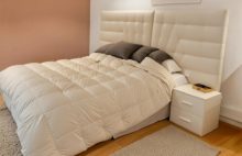 Charming property near Créon with landscaped garden and swimming pool - 4283253PVDEC