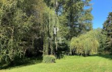 ISMH house with swimming pool, stream and outbuildings - 4292863PEMM