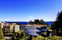 Cannes Basse Californie – Luxueux appartement rénové avec vue mer panoramique - 42487028113PMVORZ