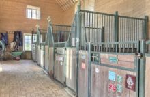 Château Guemene sur Scorff 28 pièces 1200 m2 sur 13 hectares - 404479.3PADR