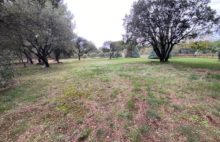 A vendre maison rénovée à Grans 150m2 avec un terrain de 5300m2 - 4317183PKCH