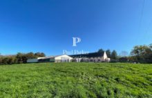 Agricultural and forestry sector - 3987123PSNV