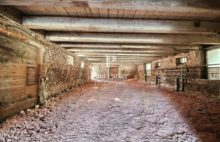 Agricultural and forestry sector - 3987123PSNV