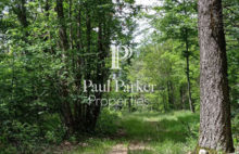 Agricultural and forestry sector - 3987123PSNV