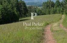 Agricultural and forestry sector - 3987123PSNV