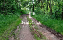 Agricultural and forestry sector - 3987123PSNV