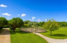 Propriété équestre Montpon Ménestérol 20 pièces 859 m2 sur 22 hectares - 4229243PCMILB3PCMIL