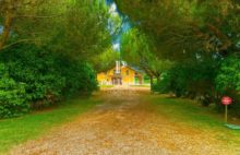 Propriété équestre Montpon Ménestérol 20 pièces 859 m2 sur 22 hectares - 4229243PCMILB3PCMIL