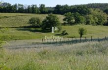 Agricultural and forestry sector - 3987123PSNV