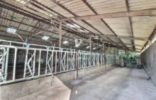 Agricultural and forestry sector - 3987123PSNV