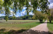 Domaine exceptionnel sur 100 hectares - 4352363PPBRA