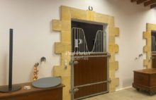 Propriété  équestre maison piscine 20 pièces 859 m2 sur 22 hectares - 4365883PCMILA3PCMIL