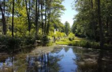 Propriété hébergements et chasse Argent sur Sauldre 835 m2  sur 100 hectares - 434811_3PADR