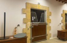 Equestrian property, house with swimming pool, 20 rooms, 859 m2 on 22 hectares - 4365883PCMILB3PCMIL