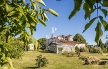 Château authentique du XIIIe siècle avec trois gîtes, piscine et 2 ha - 