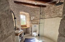 Château authentique du XIIIe siècle avec trois gîtes, piscine et 2 ha - 