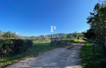 Domaine  agricole et forestier  98 hectares - 4426333PSNV