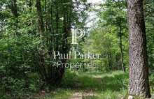 Domaine  agricole et forestier  98 hectares - 4426333PSNV