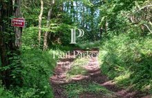 Domaine  agricole et forestier  98 hectares - 4426333PSNV