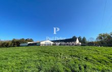 Domaine  agricole et forestier  98 hectares - 4426333PSNV