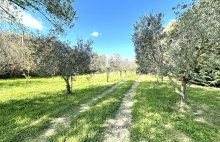 Domaine d’exception à Grans - 4456263PCKCH3PKCH