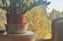 MANDAT EXCLUSIF -Superbe propriété de 800 m² avec activité de chambres d’hôtes - 4453903PKCH