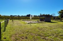 Propriété de caractère entre élégance , sérénité et rentabilité - 4449143PVDECB3PVDEC