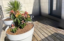 Bordeaux Saint-Victor Maison d&rsquo;architecte  d&rsquo;exception Jardin, Terrasse et Garage - 4478673PPBD