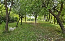 ASTAFFORT  :  L’Âme du Moyen-Âge au fil de l’eau : Ancien Moulin d’Exception 230 m² - 4483583PTOE