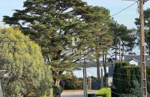 Demeure de prestige Larmor Baden 8 pièce(s) 159.48 m2 - 4409563PVIH