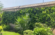 Maison de standing avec potentiel de revenus attractif – Quartier Sacré-Coeur - 4467723PVDECC3PVDEC