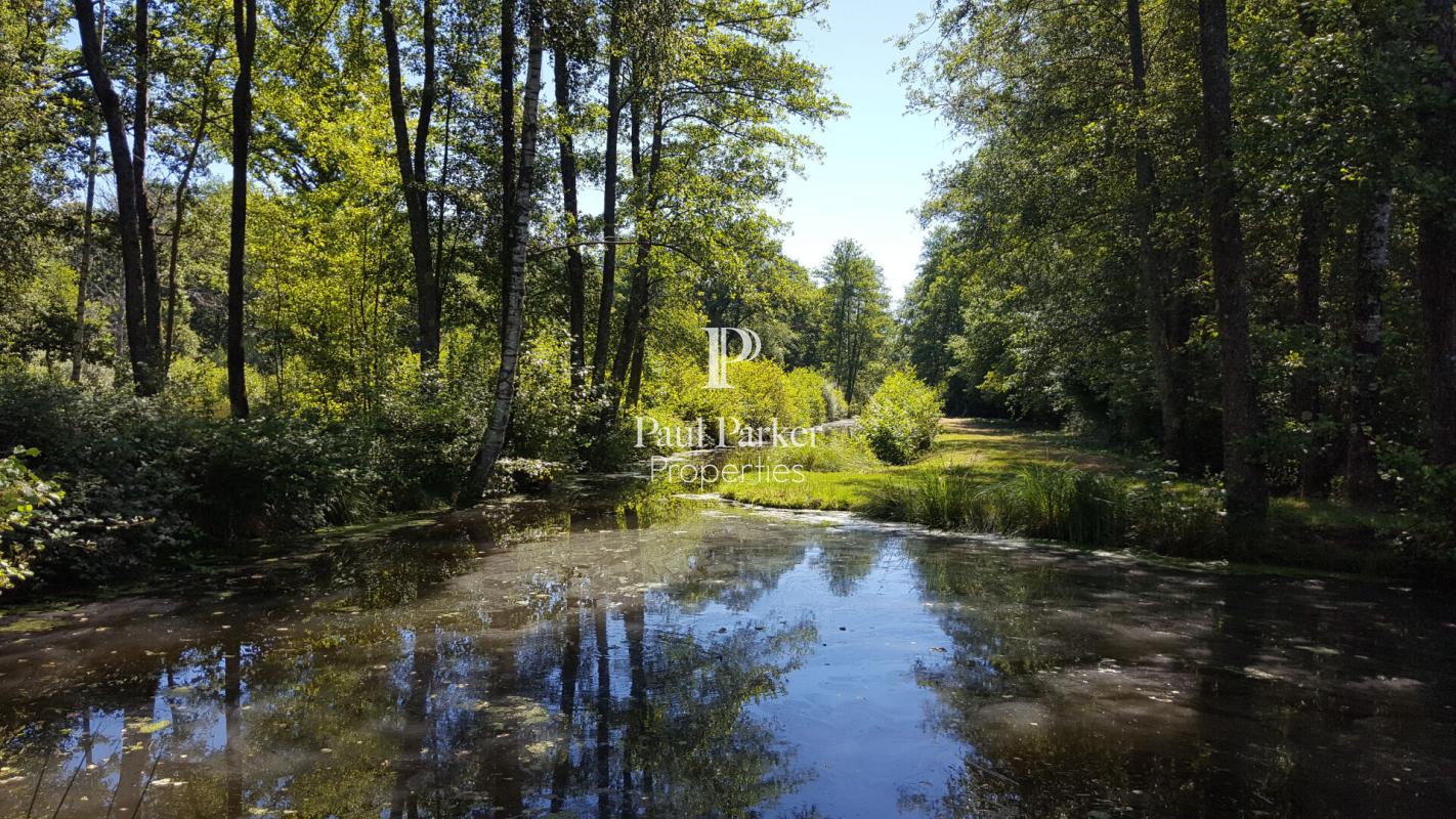 Propriété hébergements et chasse Argent sur Sauldre 835 m2  sur 100 hectares - 434811_3PADR