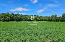 ASTAFFORT : Ancien Domaine Agricole Médiéval  377m², dépendances : Ecurie, Etable, Hangar, Terres 4.35 ha - 4378123PTOE