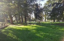 Manoir  de 1850, maison de gardien et tennis sur un parc de 5 ha - 452842.3PADR