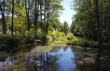 Propriété hébergements et chasse Argent sur Sauldre 835 m2  sur 100 hectares - 434811.3PADR