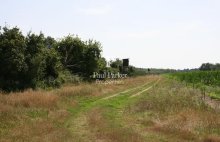 Propriété de chasse de 100 ha Triangle d’Or de la Sologne - 447711.3PADR