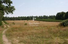Propriété de chasse de 100 ha Triangle d&rsquo;Or de la Sologne - 447711-3PADR