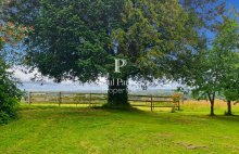 Propriété équestre avec maison de 150 m² et 29 ha - 455809.3PADR
