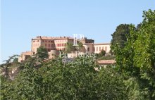 Demeure de prestige La Verdiere 120 pièce(s) 5000 m2 - 4617313PADR