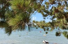 Une maison en 1ere ligne à Larmor Baden : ici, la mer donne le rythme - 4622013PVIH