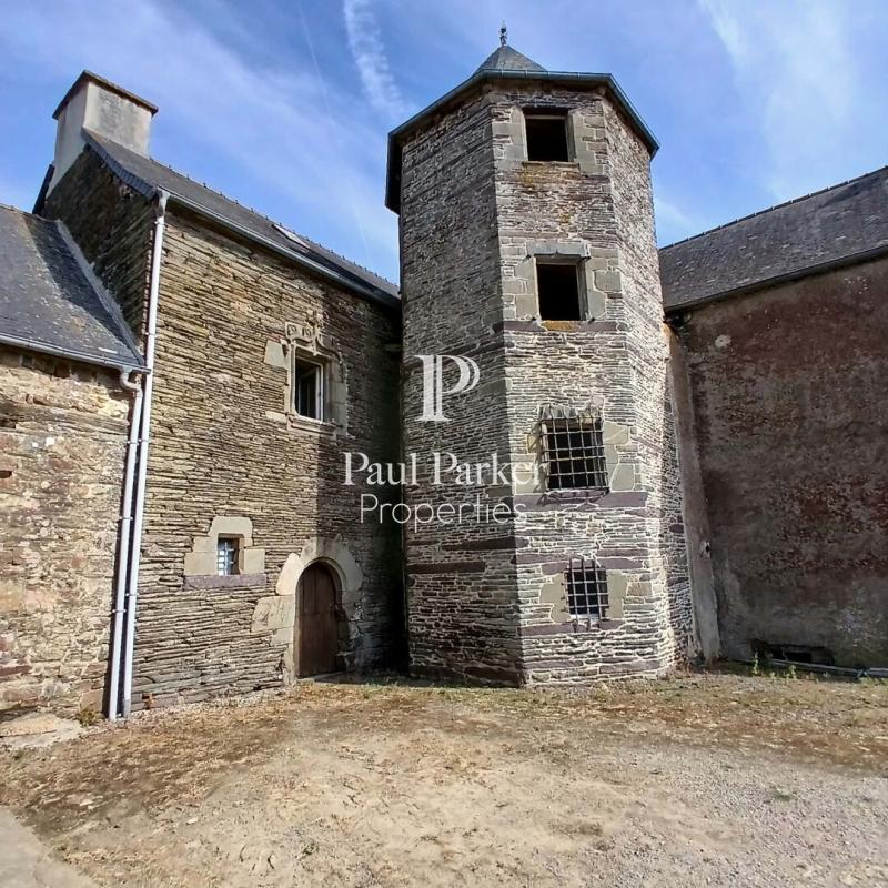 Manoir XV è Neant Sur Yvel  730 m² + dépendances sur 1ha 57a - 460199_3PADR